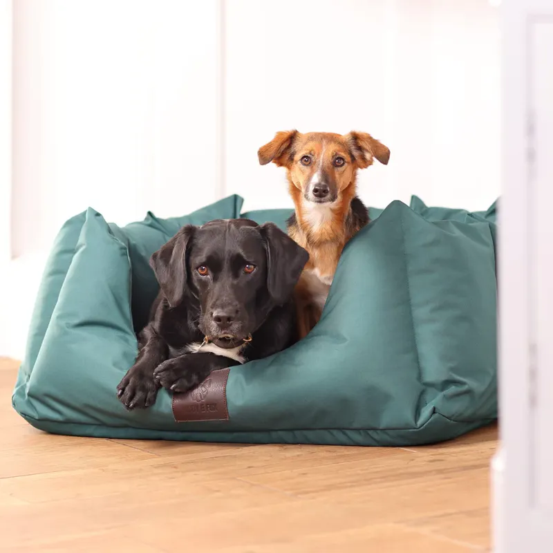 Shires Digby and Fox Nest Dog Bed - Green-3