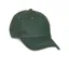 Shires Aubrion Team Cap - Green