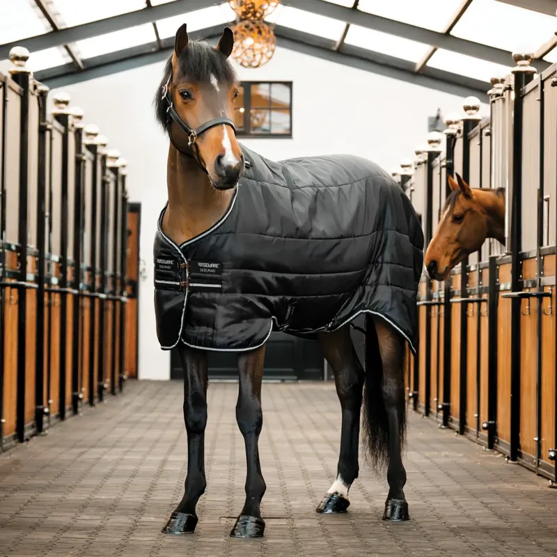 Horseware Easy-Layer 100g Stable Rug - Black/Silver