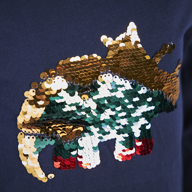 Shires Tikaboo T- Shirt - Dinosaur-3