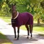 Shires Deluxe Fleece Rug - Black Cherry