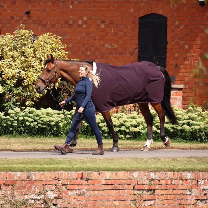 Shires Deluxe Stable Sheet - Black Cherry-1