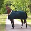 Shires Deluxe Stable Sheet - Green