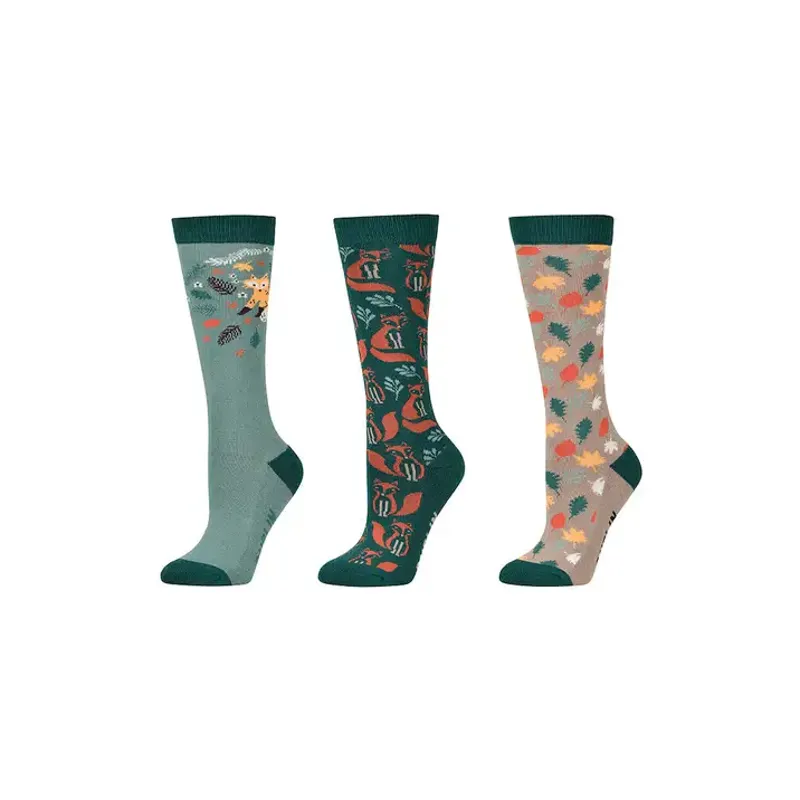 Dublin Kids 3 Pack Socks - Autumnal