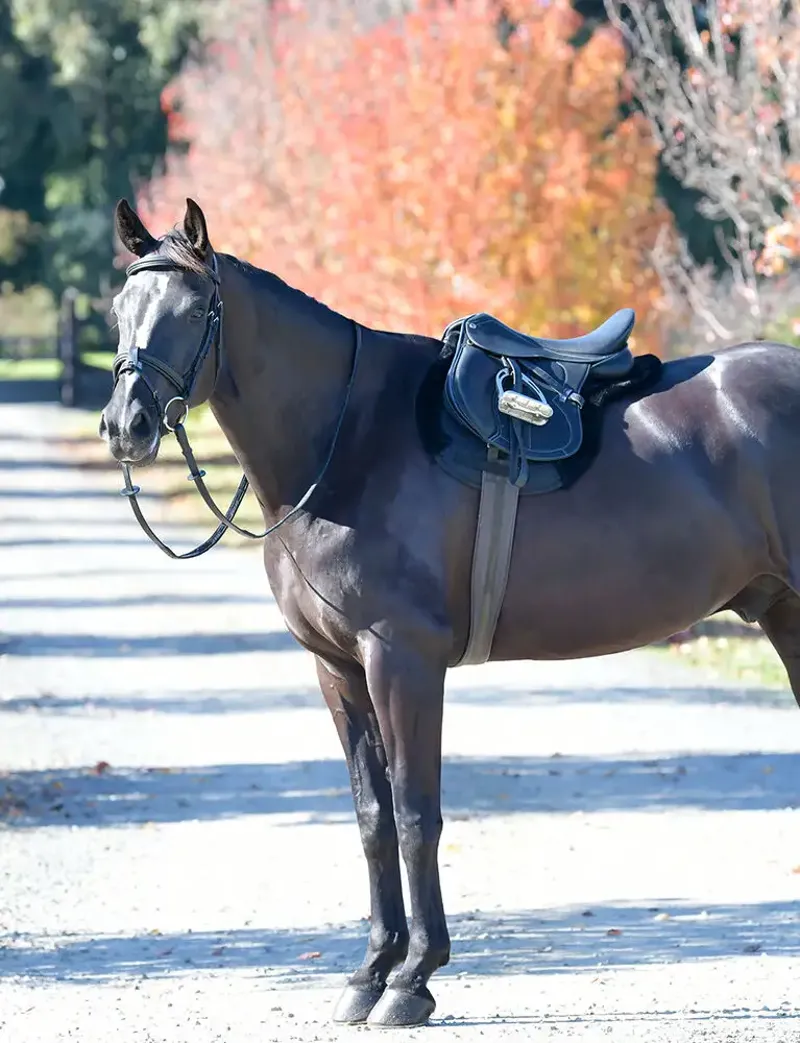 WeatherBeeta Prime Comfy Fleece All Purpose Numnah - Black-1