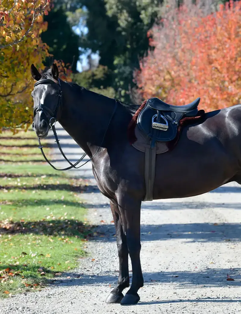 WeatherBeeta Prime Comfy Fleece All Purpose Numnah - Brown-1