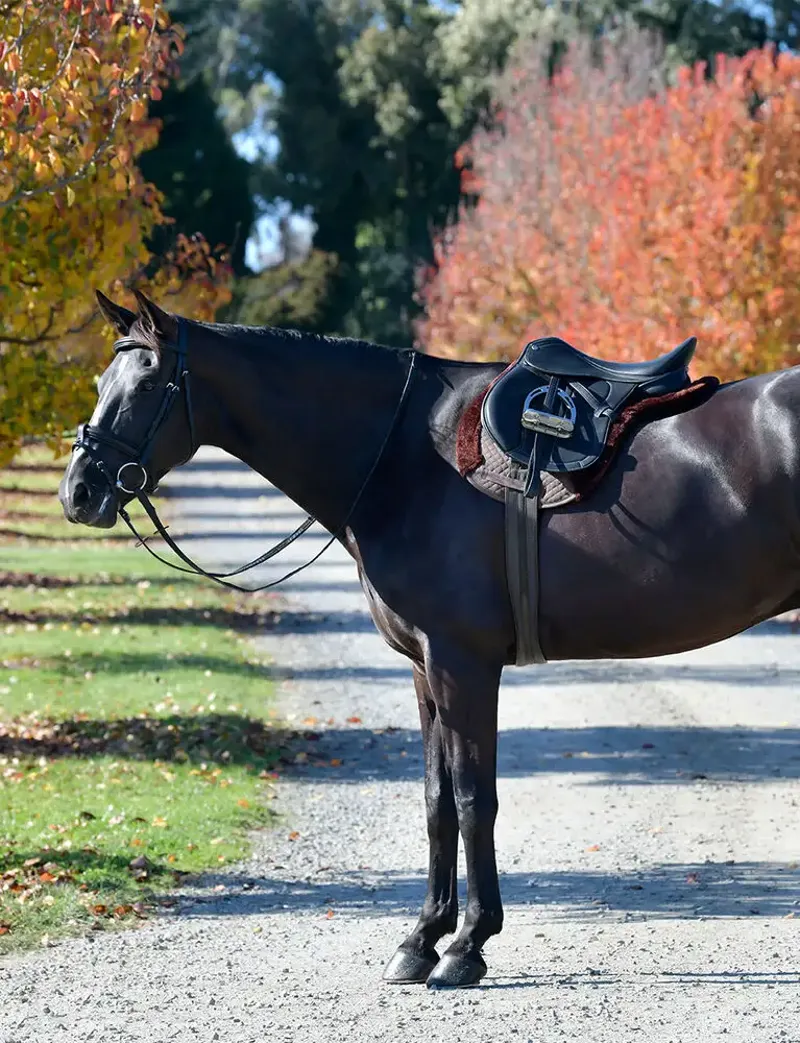 WeatherBeeta Prime Comfy Fleece All Purpose Numnah - Brown-2