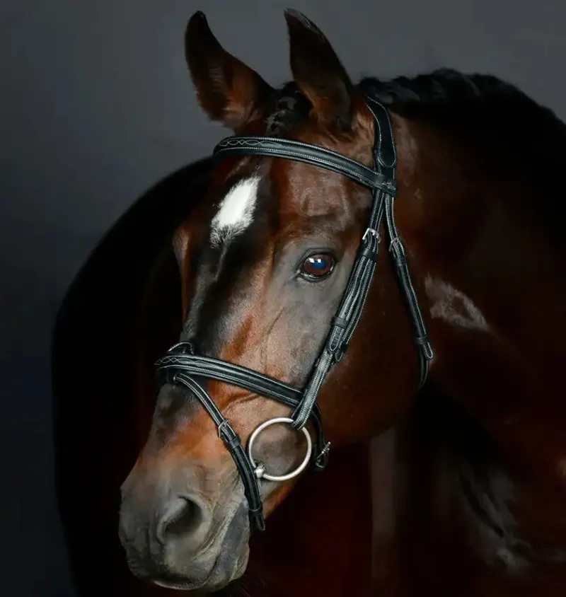 Collegiate ComFiTec Opulux Fancy Stitch Padded Hanoverian Bridle - Black