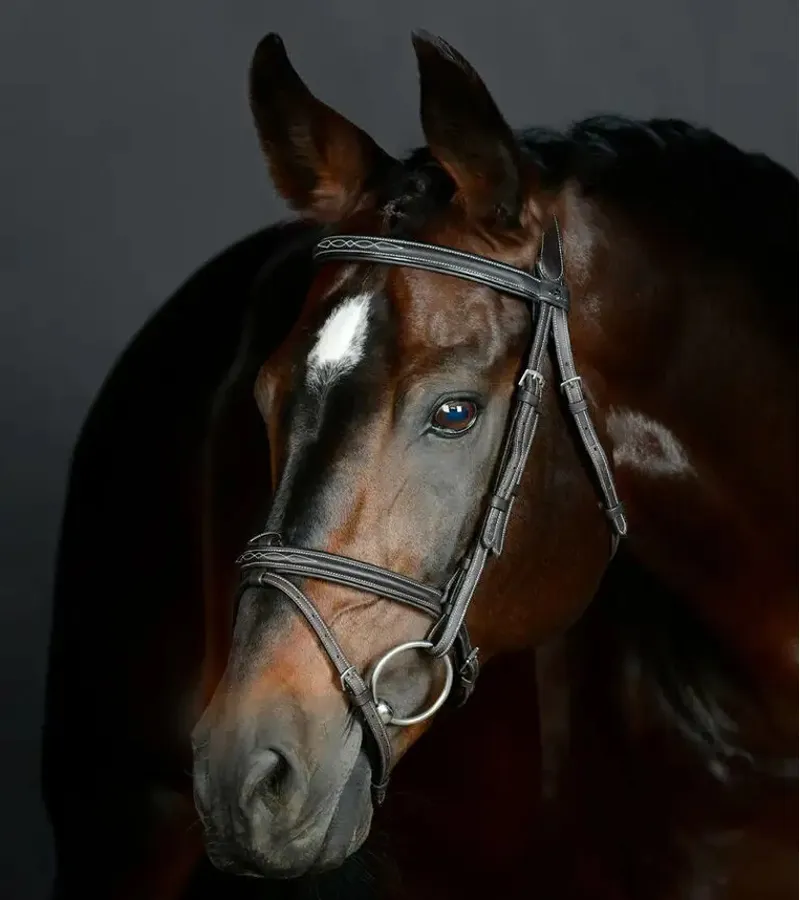 Collegiate ComFiTec Opulux Fancy Stitch Padded Hanoverian Bridle - Dark Brown-1