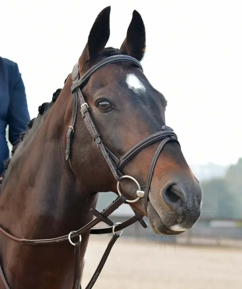 Collegiate ComFiTec Opulux Fancy Stitch Padded Hanoverian Bridle - Dark Brown