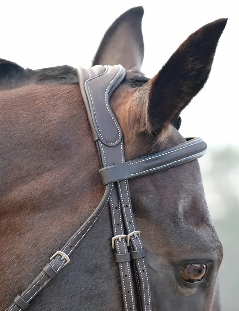Collegiate ComFiTec Opulux Fancy Stitch Padded Hanoverian Bridle - Dark Brown-6