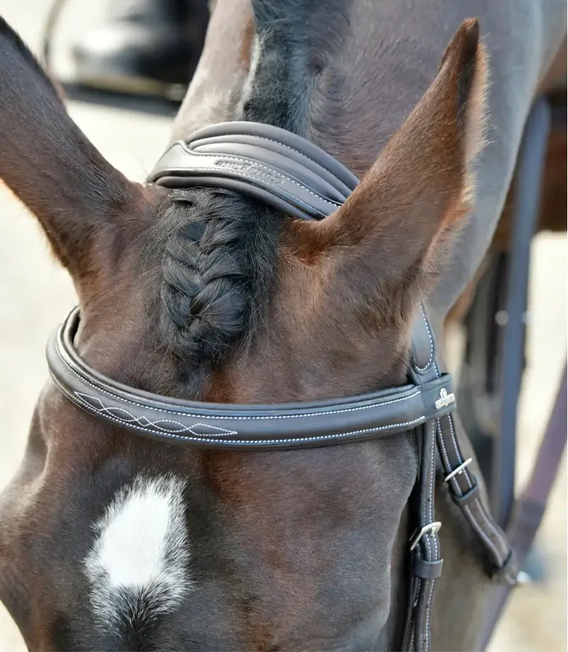 Collegiate ComFiTec Opulux Fancy Stitch Padded Hanoverian Bridle - Dark Brown-2