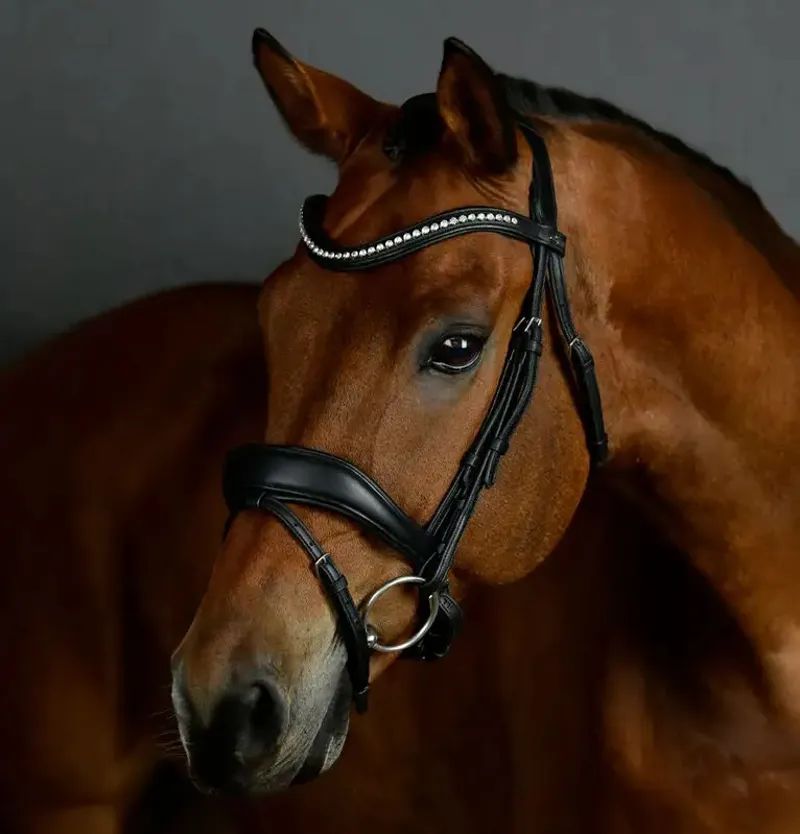 Collegiate ComFiTec Opulux Padded Dressage Bridle - Black