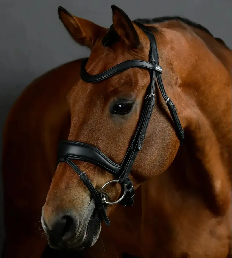 Collegiate ComFiTec Opulux Padded Dressage Bridle - Black-1