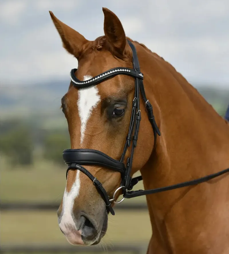 Collegiate ComFiTec Opulux Padded Dressage Bridle - Black-2
