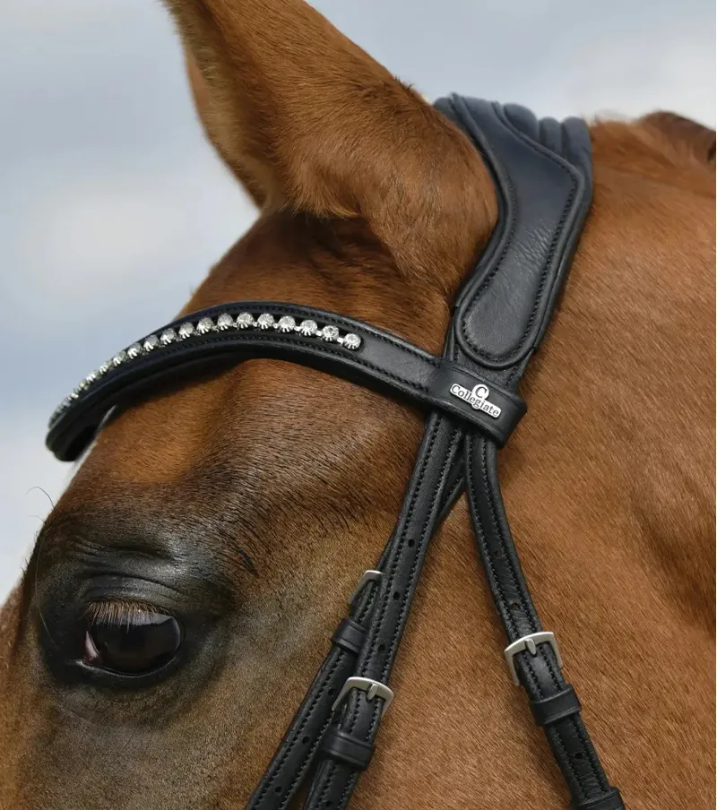 Collegiate ComFiTec Opulux Padded Dressage Bridle - Black-3