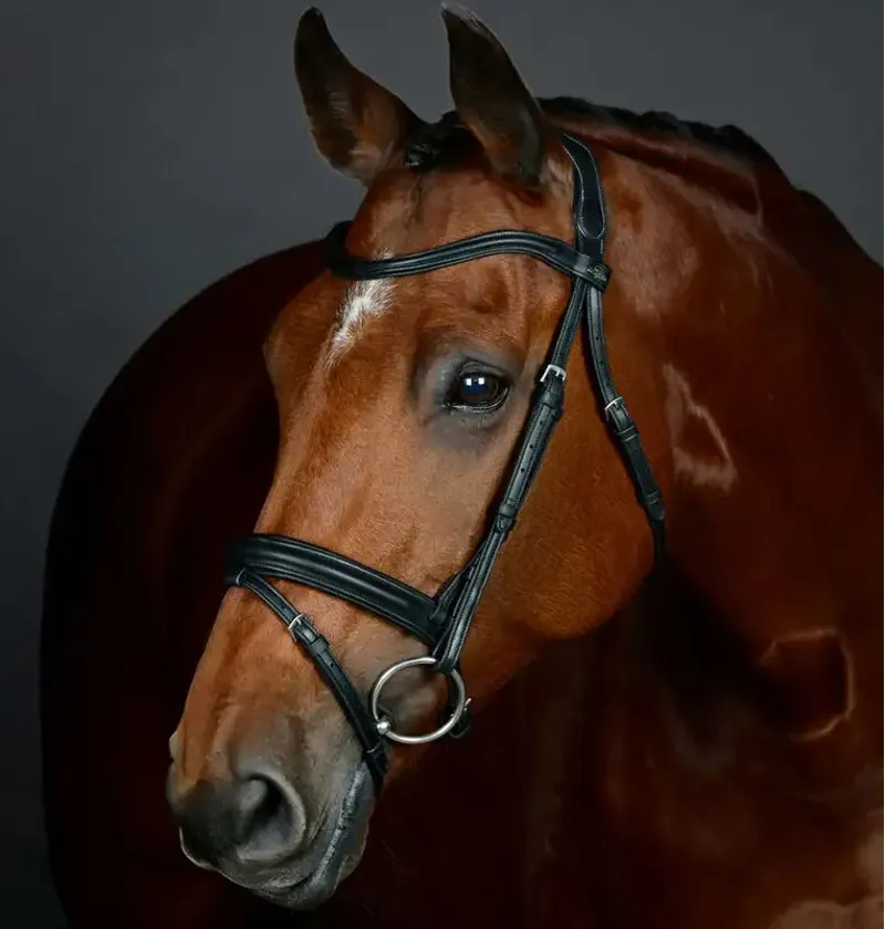 Collegiate ComFiTec Opulux Plain Padded Hanoverian Flash Bridle - Black