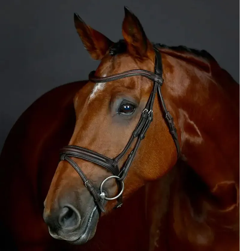 Collegiate ComFiTec Opulux Plain Padded Hanoverian Flash Bridle - Dark Brown