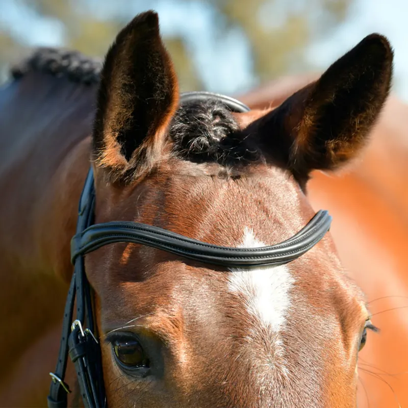 Collegiate ComFiTec Opulux Plain Padded Hanoverian Flash Bridle - Black-1