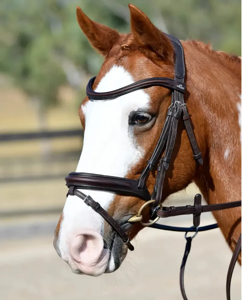 Collegiate ComFiTec Opulux Plain Padded Hanoverian Flash Bridle - Dark Brown-1
