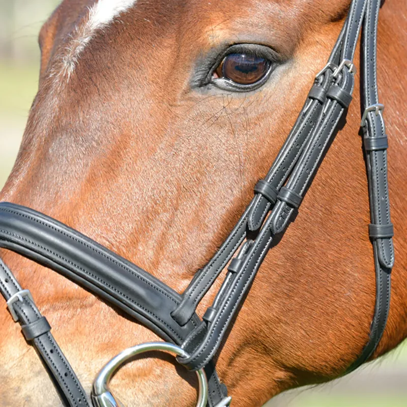 Collegiate ComFiTec Opulux Plain Padded Hanoverian Flash Bridle - Black-2