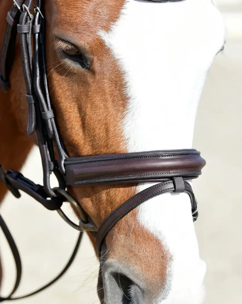 Collegiate ComFiTec Opulux Plain Padded Hanoverian Flash Bridle - Dark Brown-2