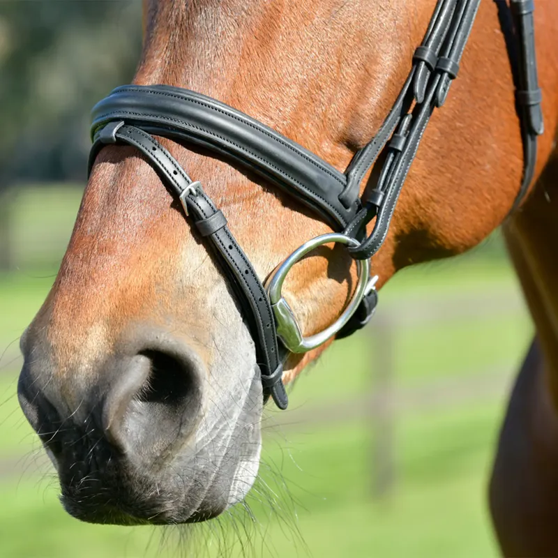 Collegiate ComFiTec Opulux Plain Padded Hanoverian Flash Bridle - Black-4