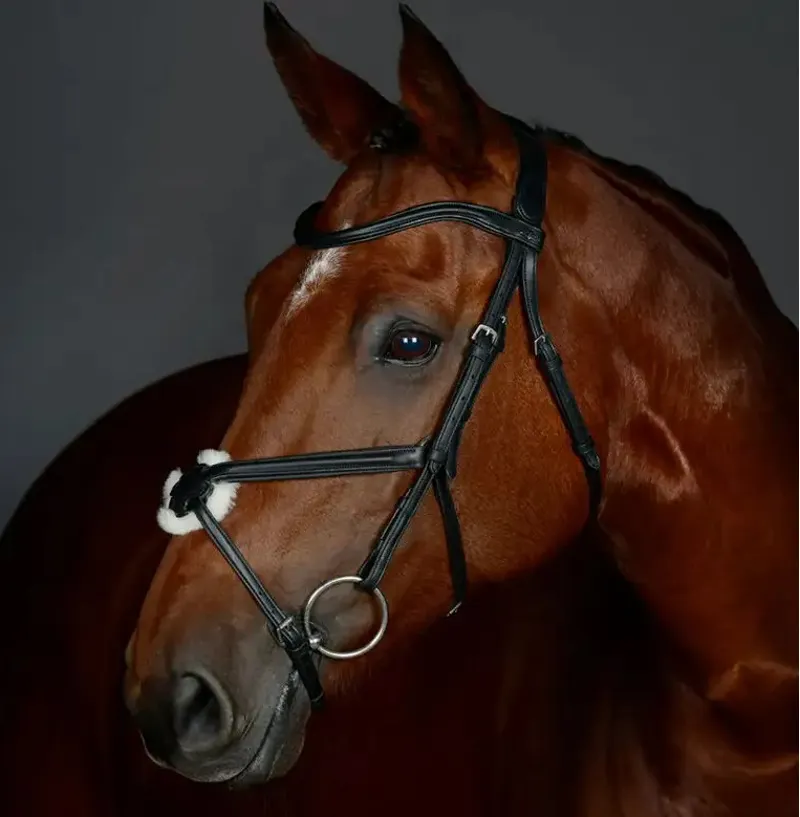 Collegiate ComFiTec Opulux Plain Padded Grackle Bridle - Black