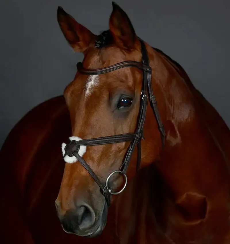 Collegiate ComFiTec Opulux Plain Padded Grackle Bridle - Dark Brown