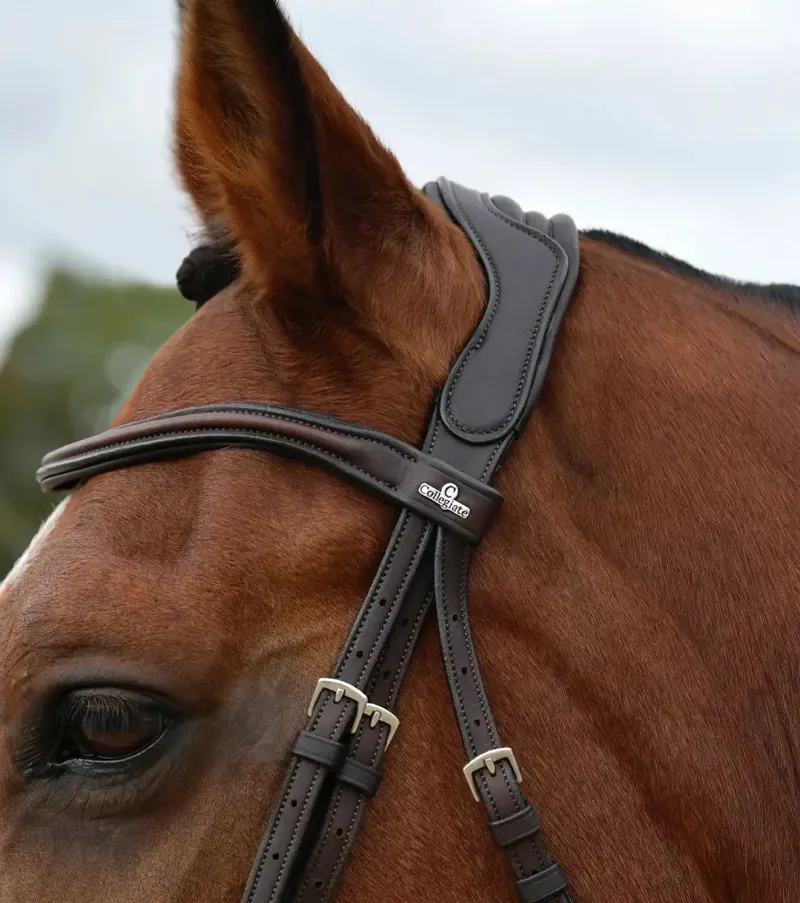Collegiate ComFiTec Opulux Plain Padded Grackle Bridle - Dark Brown-4
