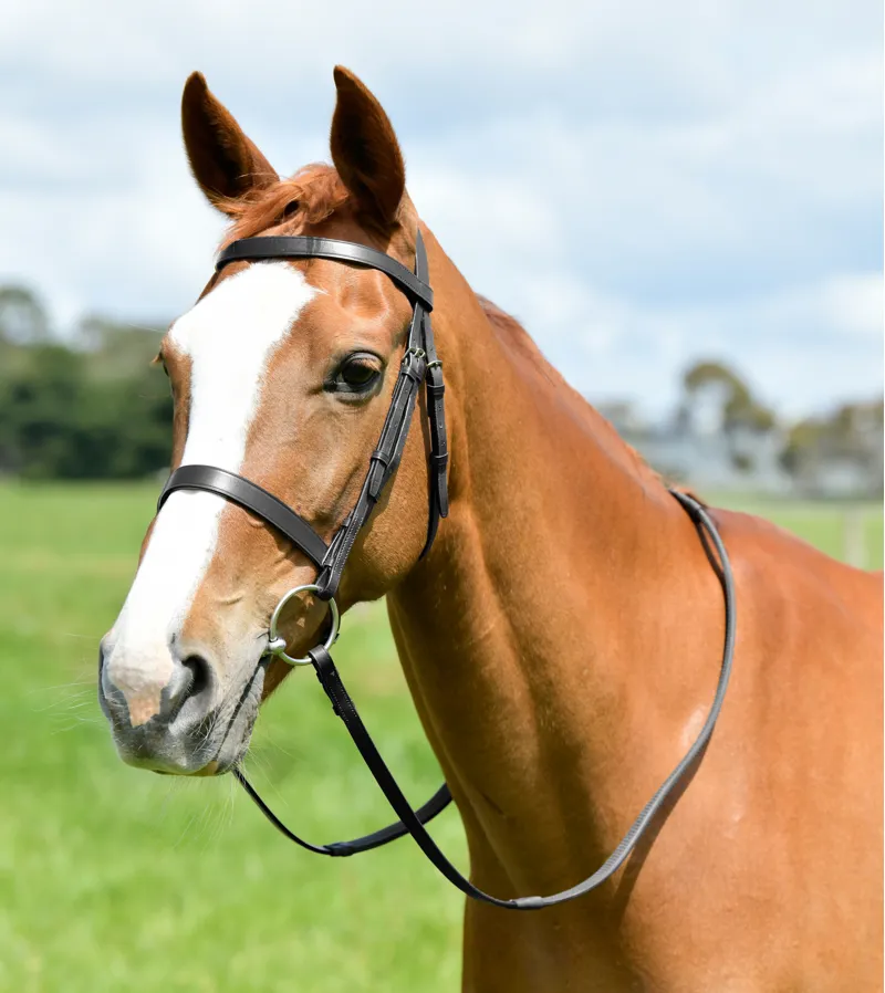 Kincade Classic Flat Hunt Bridle with Reins - Black