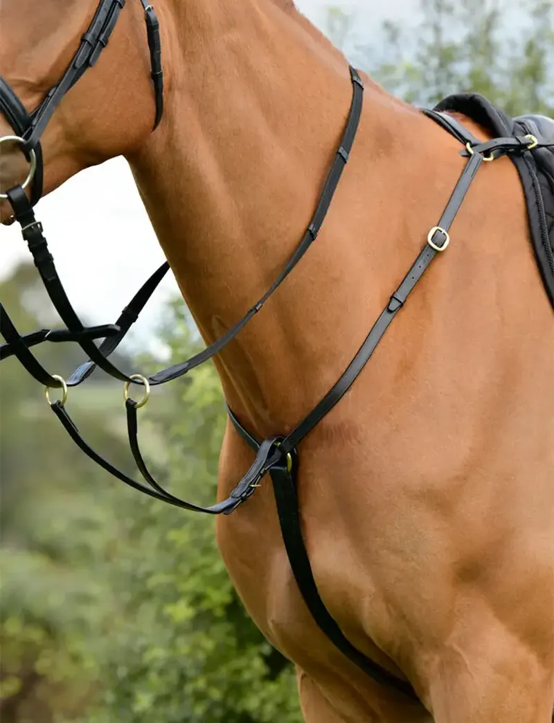 Kincade Classic 3 Point Breastplate with Running Martingale - Black