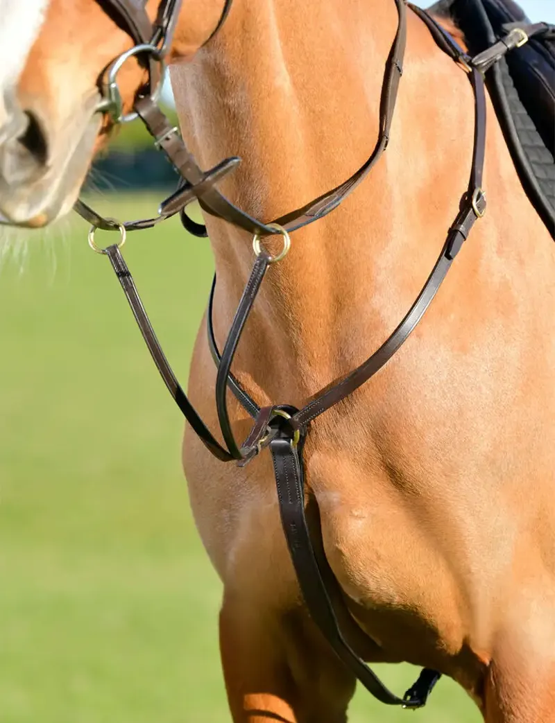 Kincade Classic 3 Point Breastplate with Running Martingale - Brown