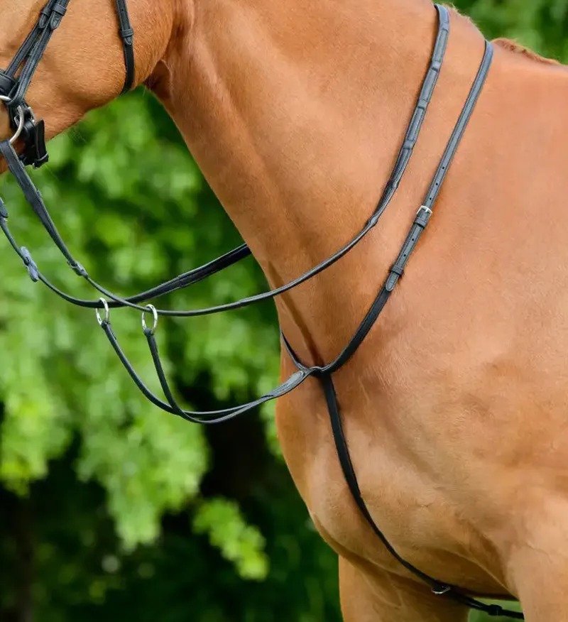 Collegiate ComFiTec Opulux Plain Flat Running Martingale - Black