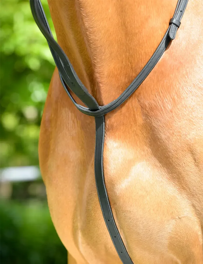 Collegiate ComFiTec Opulux Plain Flat Running Martingale - Black-1