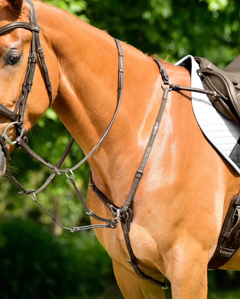 Collegiate ComFiTec Opulux 3-Point Padded Raised Breastplate with Running Attachment - Dark Brown