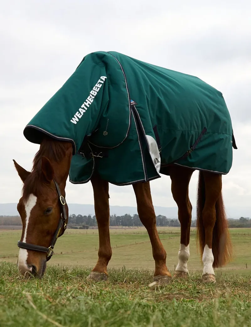 WeatherBeeta ComFiTec Plus Dynamic 360g Turnout Detach-A-Neck - Forest Green/Navy-9