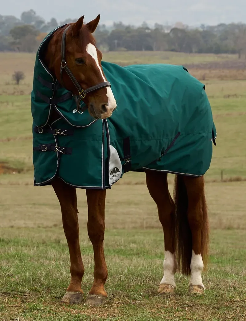 WeatherBeeta ComFiTec Plus Dynamic 360g Turnout Detach-A-Neck - Forest Green/Navy-11