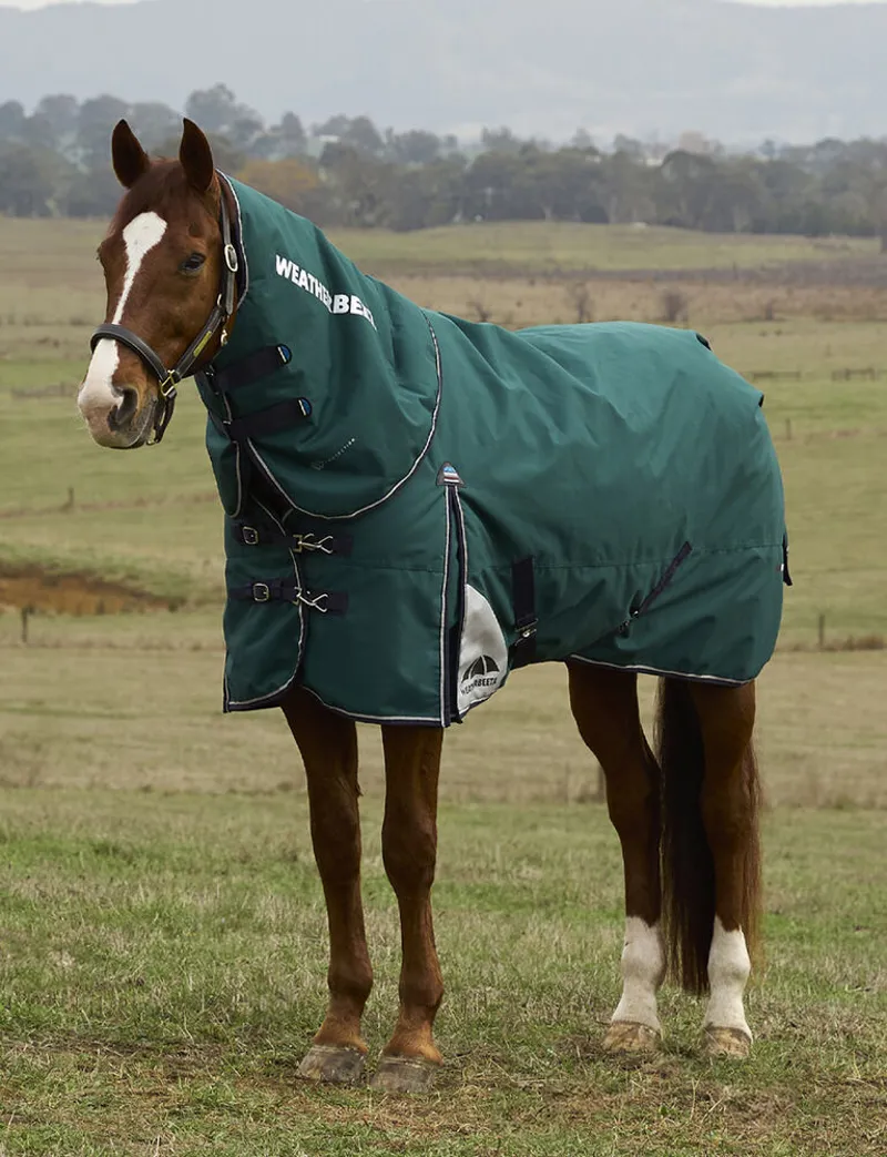 WeatherBeeta ComFiTec Plus Dynamic 100g Turnout Detach-A-Neck Rug - Forest Green