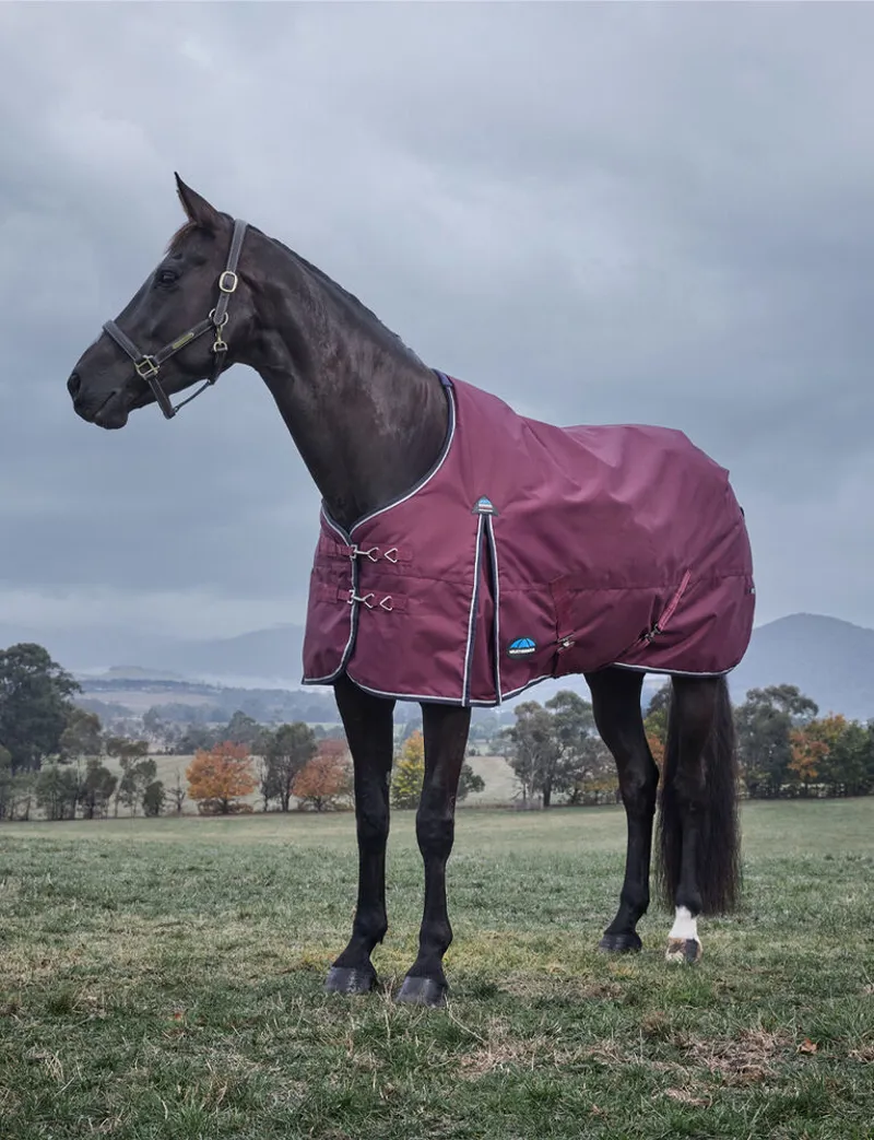 WeatherBeeta ComFiTec Essential 220g Turnout Rug - Burgundy/Navy-1
