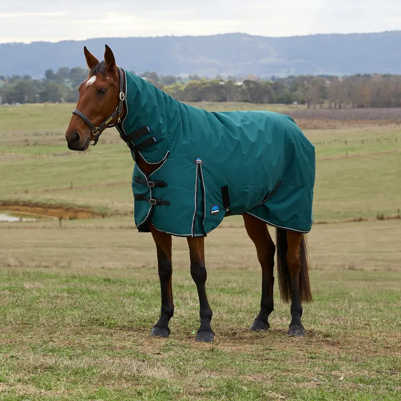 WeatherBeeta ComFiTec 360g Classic Turnout Combo Rug - Forest Green/Black