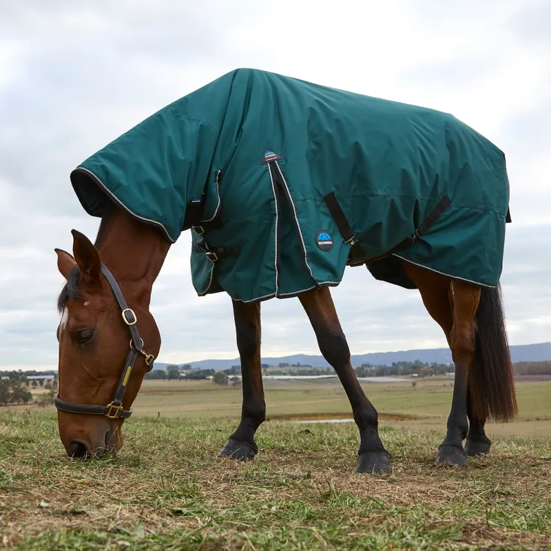 WeatherBeeta ComFiTec 360g Classic Turnout Combo Rug - Forest Green/Black-1