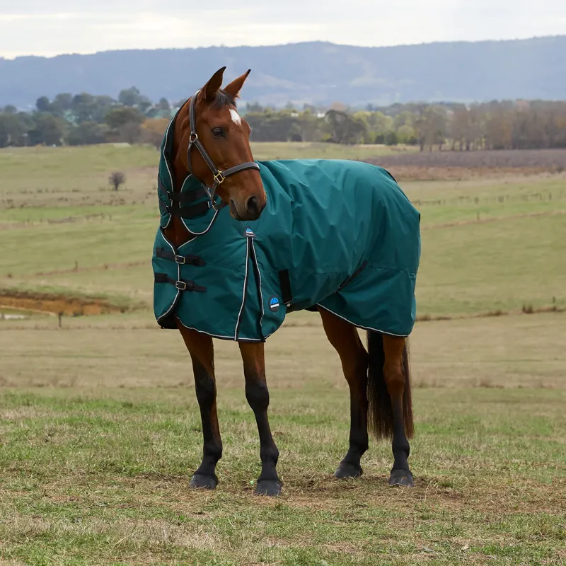 WeatherBeeta ComFiTec 360g Classic Turnout Combo Rug - Forest Green/Black-2