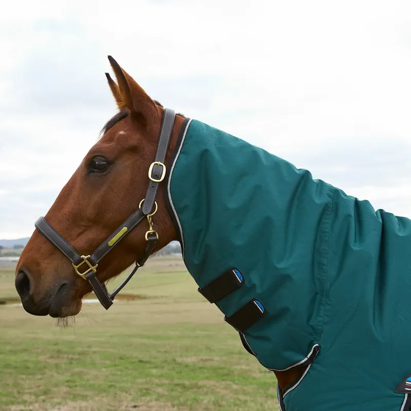 WeatherBeeta ComFiTec 360g Classic Turnout Combo Rug - Forest Green/Black-3