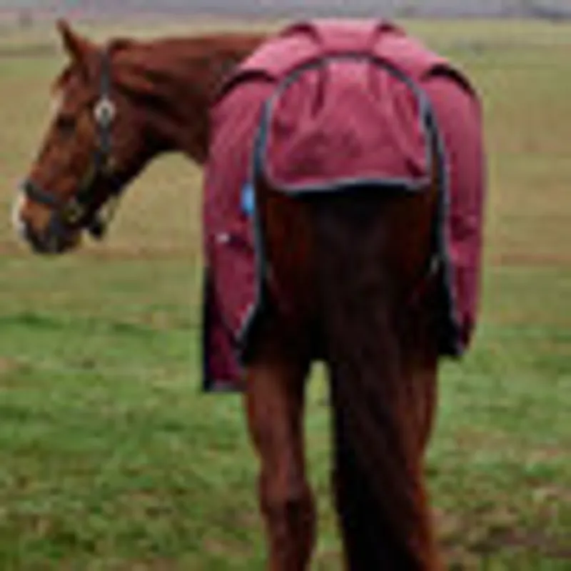 WeatherBeeta ComFiTec 0g Prelim Turnout Rug - Burgundy/Navy-3