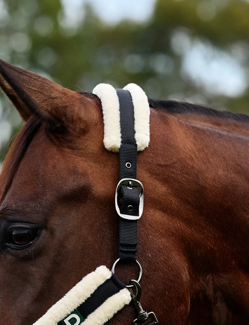 Dublin Soft Fit Headcollar - Black-1