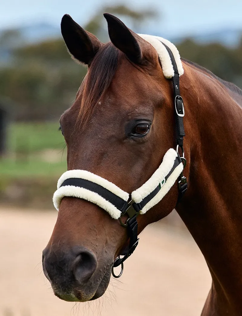 Dublin Soft Fit Headcollar - Black