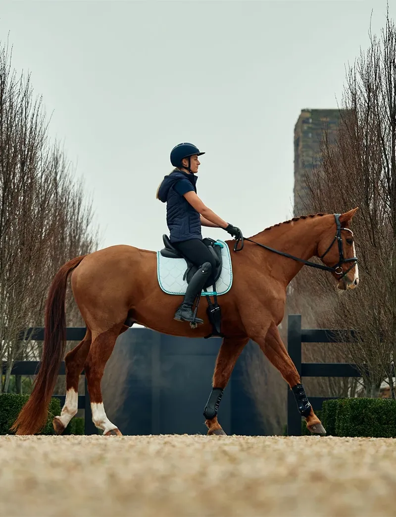 WeatherBeeta Velvet Dressage Saddle Pad - Blue-7