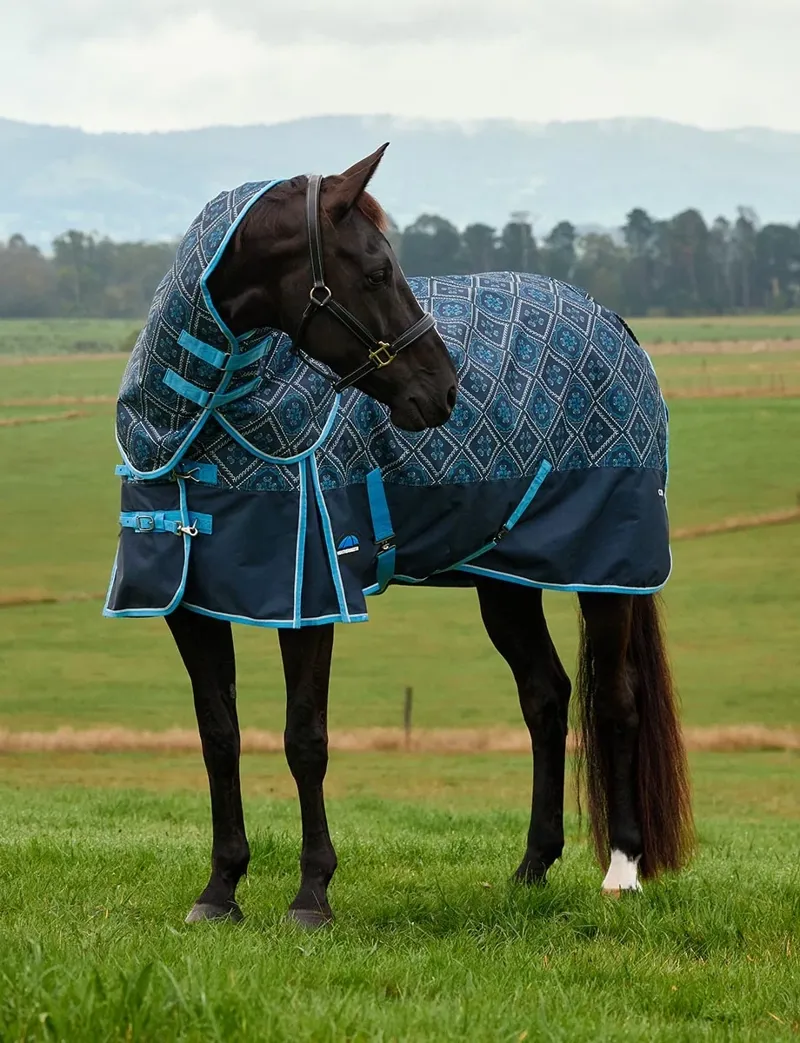 WeatherBeeta ComFiTec Heritage 220g Turnout Rug Detach-A-Neck - Paisley Print-1