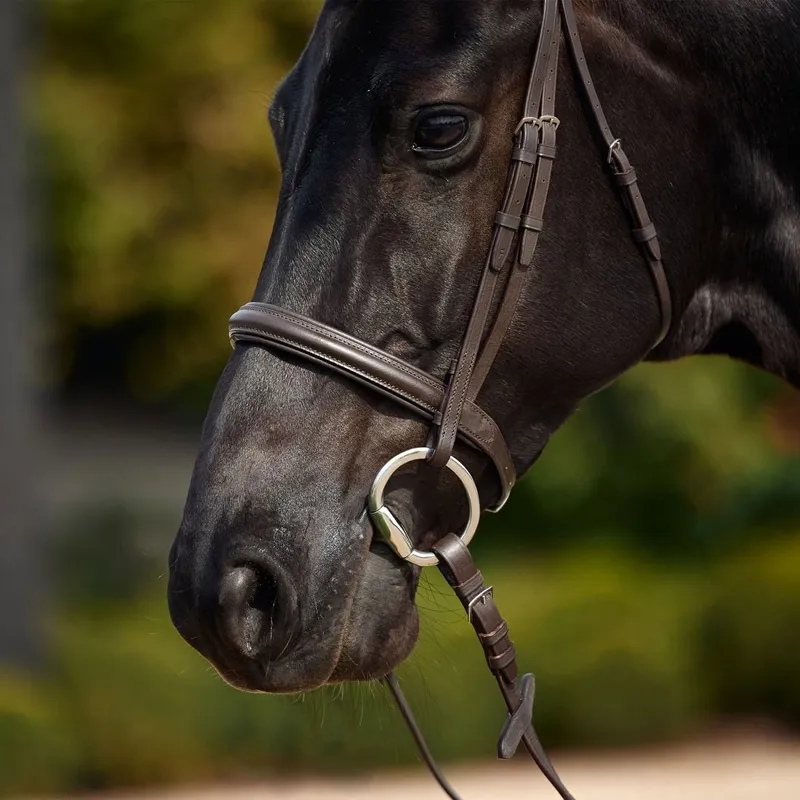 Dublin Padded Cavesson Bridle - Brown -2